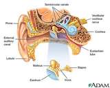 ENT Unit,ENT Examination Unit,ENT Treatment Unit